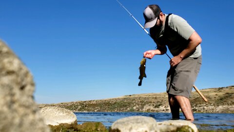 National hunting/fishing day