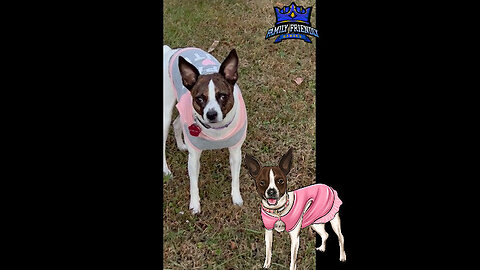 Princess and full moon