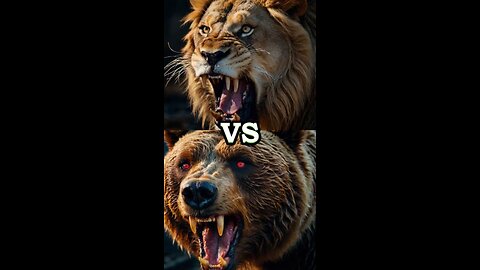 “Lion vs Bear: King’s Victory”