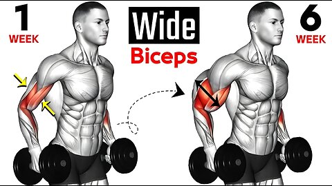 Best Big Bicep Exercises and Tricep Exercises to Build Bigger Arm Muscle _ ARM WORKOUT