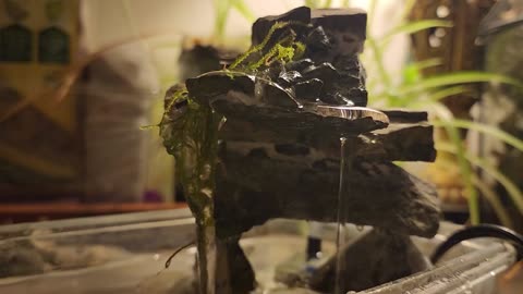 Desk Fountain Version 3