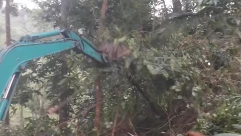 Unseen Heroes: 60 Seconds of American Excavator Mountain Rescue!