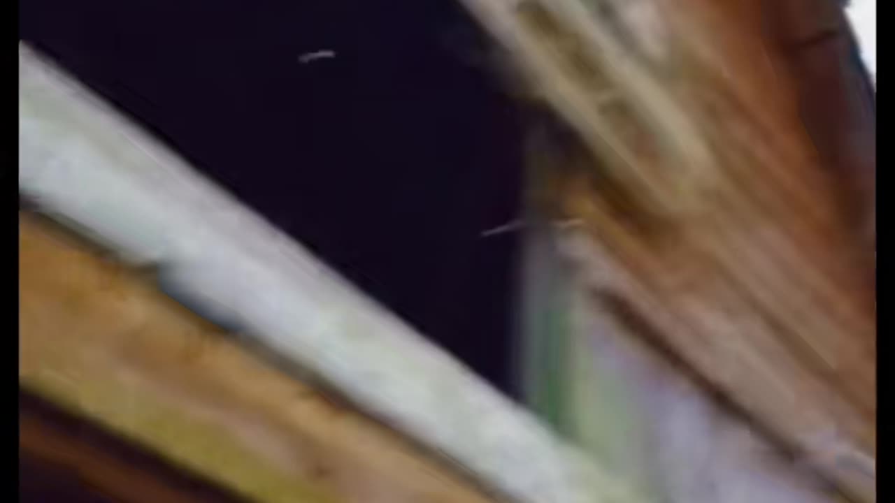 😱👻 Strange Things Caught on Camera in New York! | TheHauntingHour