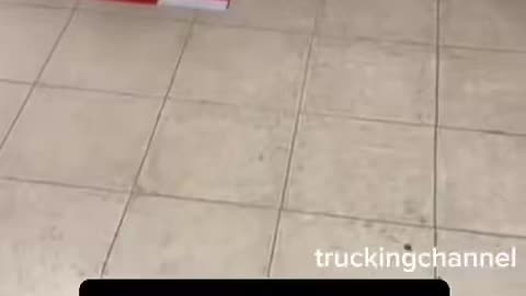 Dispatcher doesn't allow a truck driver who doesn't speak English to pick up a load