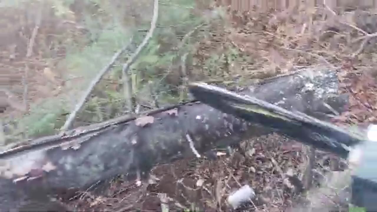 Dump Find Turns Into a Powerhouse! Electric Chainsaw Test!