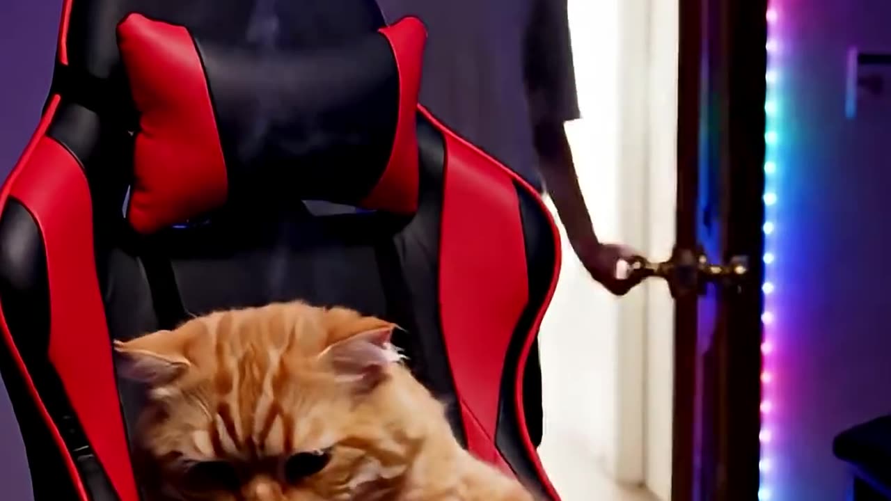 Are you serious?