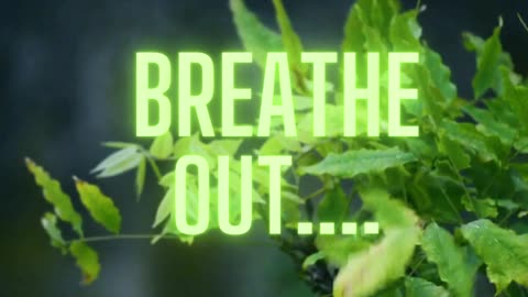 Thursday Divine Healing 10/30/2025