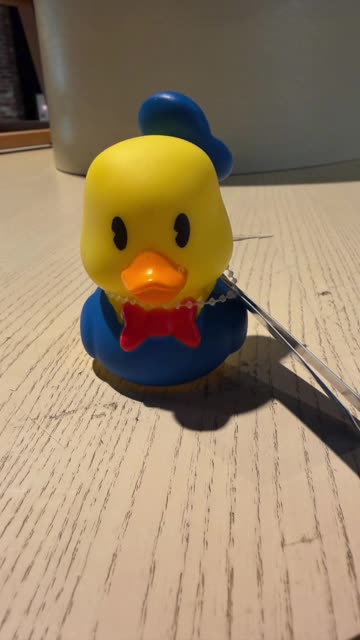 Disney Parks Donald Duck Vinyl Rubber Duck #shorts