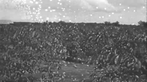 [FORD, BRAZIL] - [FORD, BRAZIL] - fc-fc-1567