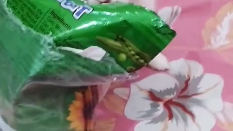 Funny rabbit