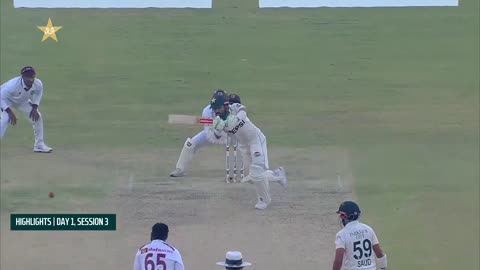 Funny Song & Cricket