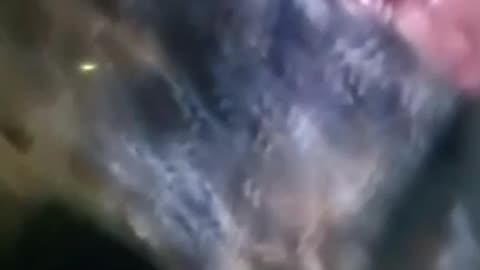 the mark of the beast