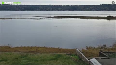 Peaceful day beautiful scenery