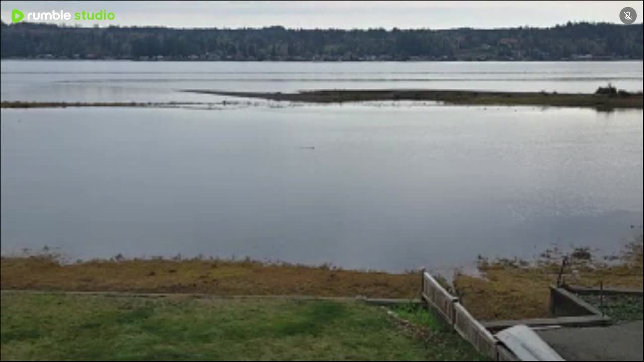 Peaceful day beautiful scenery