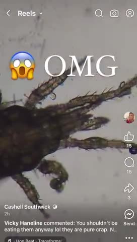 Doritos Are ALIVE Under A Microscope