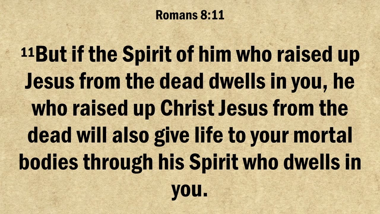 Romans 8