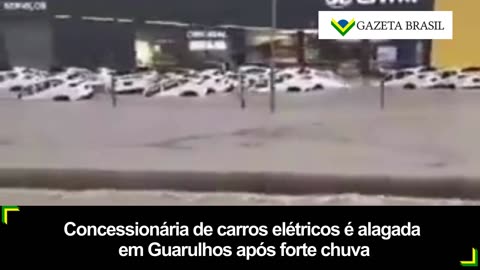 Concessionária de carros elétricos é alagada em Guarulhos após forte chuva