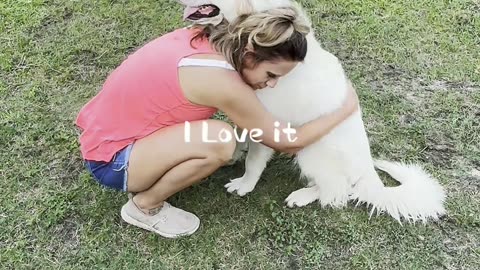 Kimber is such a good dog. She is roughly 10 months old and she already knows her role.
