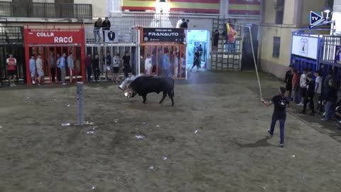2 TORO NOCHE 6oct ABAJEÑO ganaderia ZALDUENDO N 257