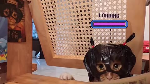 We got a little thief on the house 🤣