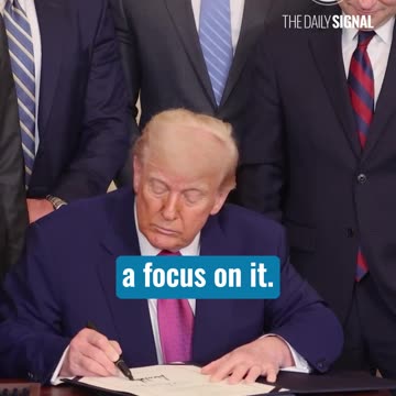 ‘Nobody Is Free’ While Antifa ‘Terror Networks’ Disrupt Public Transit, ICE, Says Harmeet Dhillon