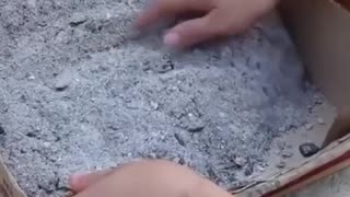 How the Amish preserve tomatoes for months using wood ashes.