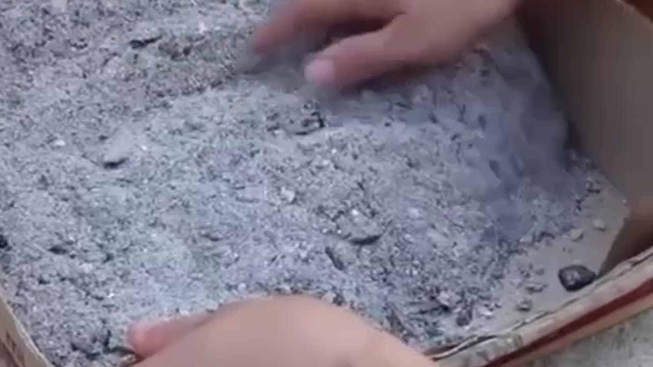 How the Amish preserve tomatoes for months using wood ashes.