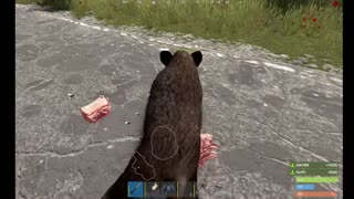 Rust Wipe Day