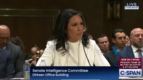 Senator Michael Bennet becomes unhinged when questioning Tulsi Gabbard