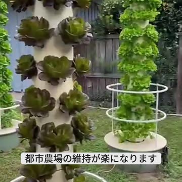 Vertical Hydroponics: The Game-Changer for Urban Farming