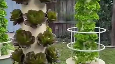 Vertical Hydroponics: The Game-Changer for Urban Farming