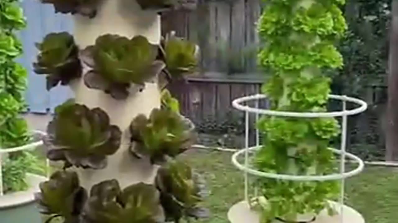 Vertical Hydroponics: The Game-Changer for Urban Farming