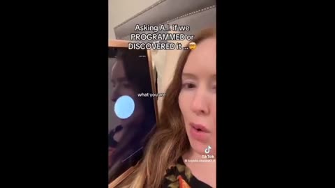 Asking A.I. if we Programmed or Discovered it...