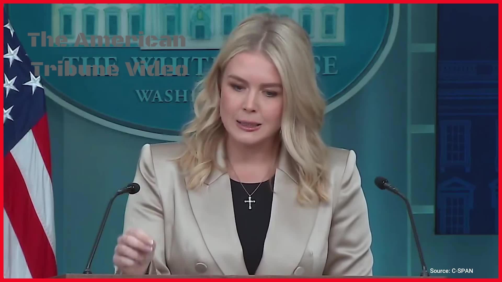 Leavitt Skewers Woke Reporter by Bringing the Receipts to Expose the Reporter’s Lie