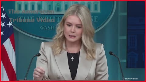 Leavitt Skewers Woke Reporter by Bringing the Receipts to Expose the Reporter’s Lie 