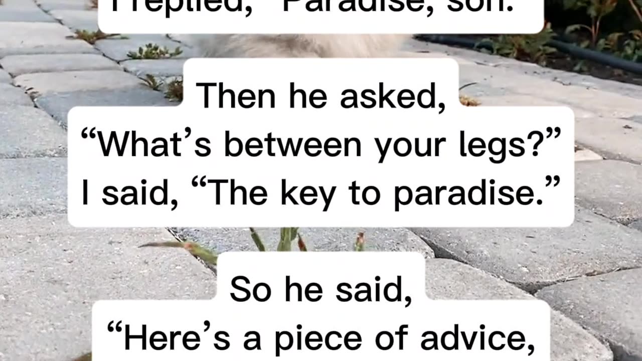 Spare key 🔐 #funny #jokes