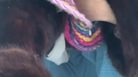 Have you ever walked #barefoot in the snow?