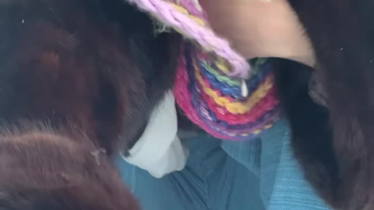 Have you ever walked #barefoot in the snow?