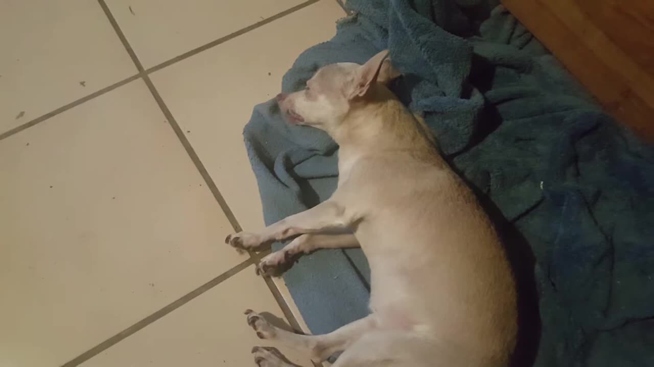 Time To Say Goodbye... (September 17, 2018)