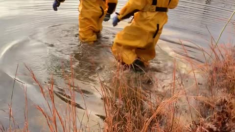 Volunteer Fire Department Rescues Dog In Freezing Lake