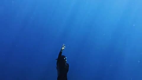 . "Top 5 Diving Spots in [Your Country] 🗺️ | Best Underwater Views!"