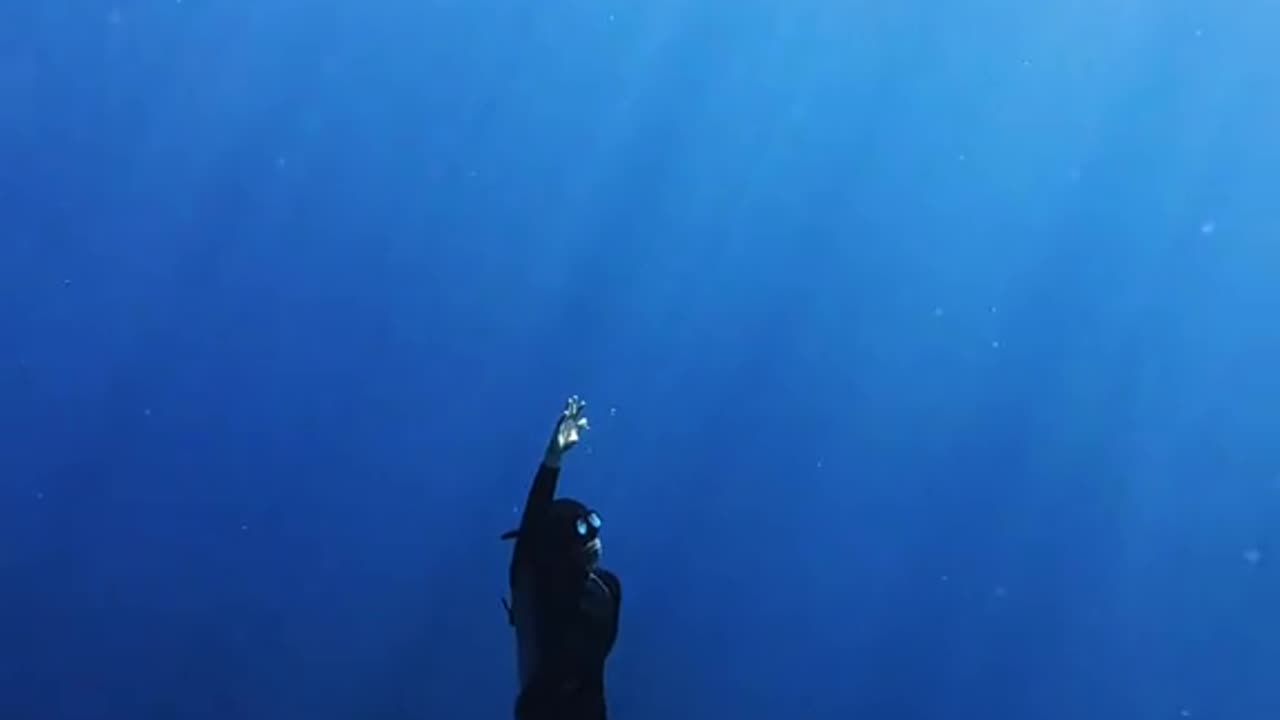 . "Top 5 Diving Spots in [Your Country] 🗺️ | Best Underwater Views!"