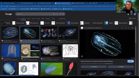 AULA 20 REGULAR 2025 - 1 | Semana 14 | Biología