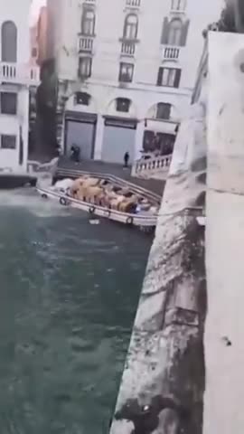 woman stole a delivery boat in Venice and rammed first into a stone railing