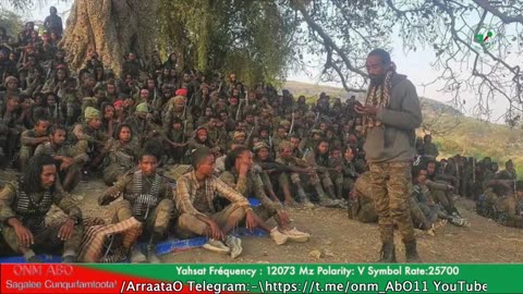 Gabaasa Tarkaanfii ONM-ABO Guraandhala 28-2025 itti dhiyaadhaa!