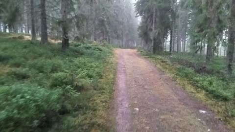 Omavaraisten kannattaa verkostoitua, että olemme valmiina tarpeen vaatiessa