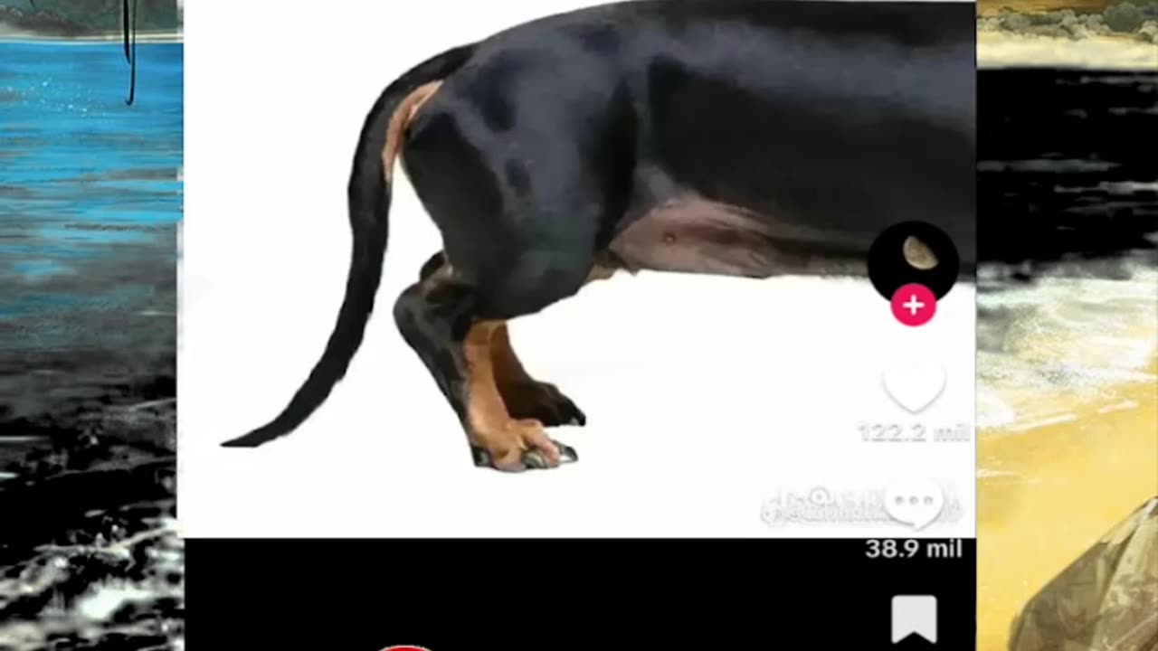 Just shorts videos - Follow 😜😋!!!!!!!