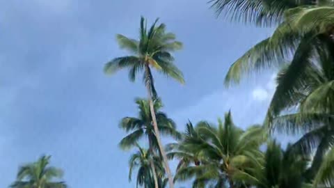 FILMS EN LIBRE ACCES LIEN EN DESCRIPTION