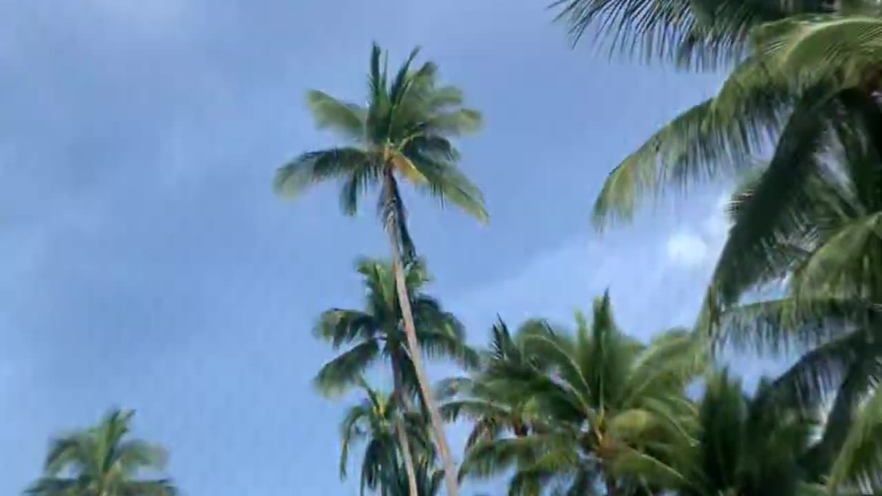 FILMS EN LIBRE ACCES LIEN EN DESCRIPTION