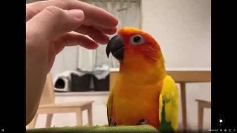 He realizes the hand is a friend and then.... how cute is this?